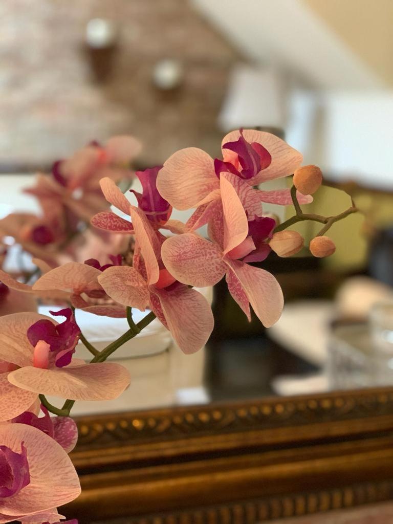 Hostal Villa Toscana Guatemala Dış mekan fotoğraf